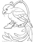 Parrot coloring page