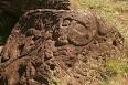 Easter Island - Wikipedia, the free encyclopedia