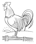 Rooster coloring page