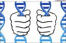 Forensic News Blog