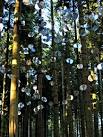 Mirage is a sculpture by Kisa - via Daymix