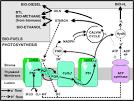 Solar BioFuels