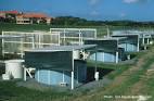 Aquaculture