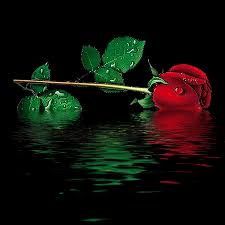 images?qtbnANd9GcRWWp48elQ2 ZRE7B6dG lKp kTctVhPtrhbPg0S71c9IGTSsEibQ