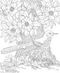 Free Printable Coloring Page...Georgia State Bird and Flower ...