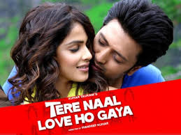 Tere Naal Love Ho Gaya (2012) – Hindi Movie PDVD