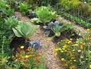 How to start a community garden | Northwest Prime Time