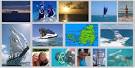 St Maarten Shore Adventures and Excursions