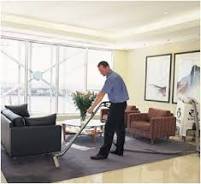  If You Can’t, Professional Carpet Cleaning Companies Can