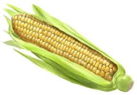 images?q=tbn:ANd9GcRXLS9tnESXNr3jh-fjwMvpOImd2_rq_5wgpSnh6OqG7r5bFZib