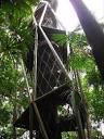 Birding tower, Panama Rainforest Discovery Center - Panama ...