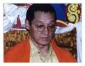 Kunzang Pema Namgyal — dziewiąty Gangteng Tulku Rinpocze - gangteng_tulku3