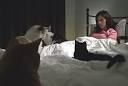 Christie Callan-Jones' Cat Ladies: Breaking Down the Stereotype ...