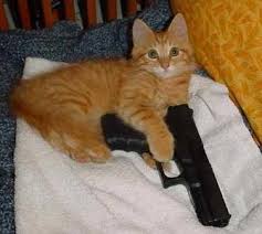 Well, yes, of course, cats with guns, that goes without saying.