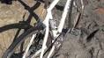 Page 1 of comments on Trek District Shimano Alfine/Gates Belt ...