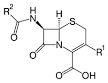 Cephalosporin - Wikipedia, the free encyclopedia