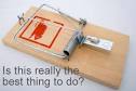Rodent Strobe Is How to Get Rid of Squirrels, Get Rid of Rats ...