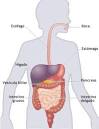picture of Cuerpo humano images wallpaper