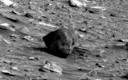 Alien skull spotted on Mars   Telegraph
