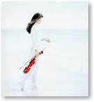 http://t1.gstatic.com/images?q=tbn:ANd9GcRZRbmxLr3xnROtUvvLrhuK-pa-yFC27YNXgN-ZwPb1RIh_wreiRrYN7864eA