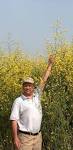 Parable of the <b>Mustard</b> Seed