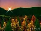Trees - via Daymix