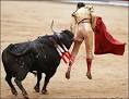 Bullfighter