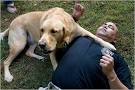 Dogs Serving Veterans - The New York Times > Giving > Slide Show ...