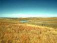 Grasslands Biome