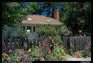 Picture/Photo: House with flowers in front yard. Menlo Park ...