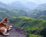 Mountain Landscape wallpaper