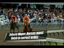How to Place a Horse Racing Trifecta Bet