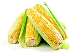 Кукуруза – польза и вред