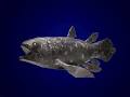 DINOFISH.com - COELACANTH: THE FISH OUT OF TIME