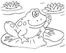 Frog coloring page