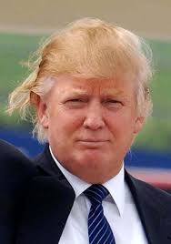 Antonia Petta | Caminho Dourado - donald-trump-bad-hair-day