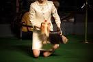 Westminster Dog Show: 2012's best-named dogs