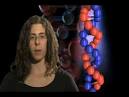 Haplogroup U Mtdna