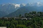 Himachal Tourism | Dharamshala