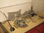 Gov House 1st Colony Exhibit.jpg