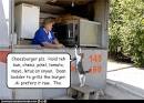 Can cats be vegetarians  Way of Cats blog