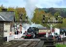 NZ8205 : The Green Knight at - via Daymix