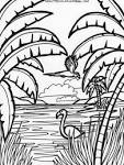 Flamingo coloring page