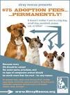 We've Lowered Adoption Fees to $75... Permanently! | Stray Rescue ...