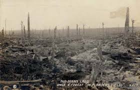 external image images?q=tbn:ANd9GcRahrNmGLpIRFxDoijpIgJytq1CtAsCjTgseKWfUqtsBzhtpWutkQ