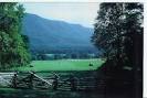 About Tennessee | Tennessee Homes for Sale