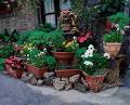 Flower pots in front of house, Volpaia, Tuscany, Italy | Stock ...
