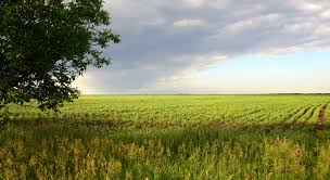 images?q=tbn:ANd9GcRb6PTk2dNBeWBdFqB2Hy-2rwmOh7jfbcaiSPGcX1L33t7I16xP