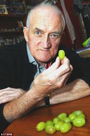 Thirsty: Michael Shephard was sacked by National Express for eating a grape in his cab. Mr Shephard, who had a heart bypass last year, said his medication ... - article-0-1248ABC9000005DC-661_468x702