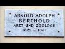 Berthold, Arnold Adolphe – Dictionary definition of Berthold ...